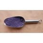 purple ombre pigment