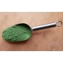 old green pigment