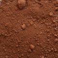 chestnut pigment