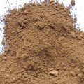 brown ochre pigment